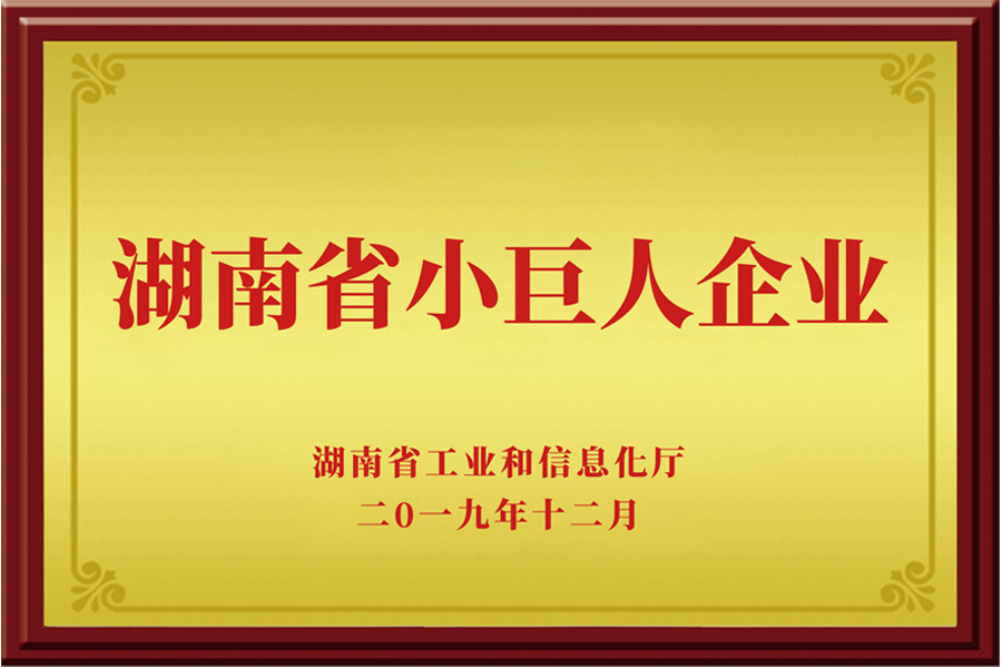 Changsha Little Giant Enterprise